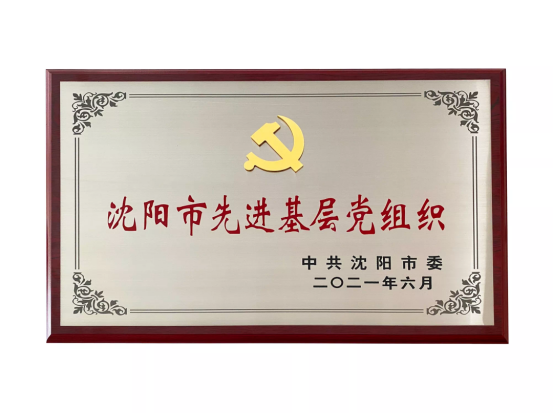 沈阳智虹职业培训学校党支部被授予“先进基层党组织”称号，是沈阳市市唯一一所获此殊